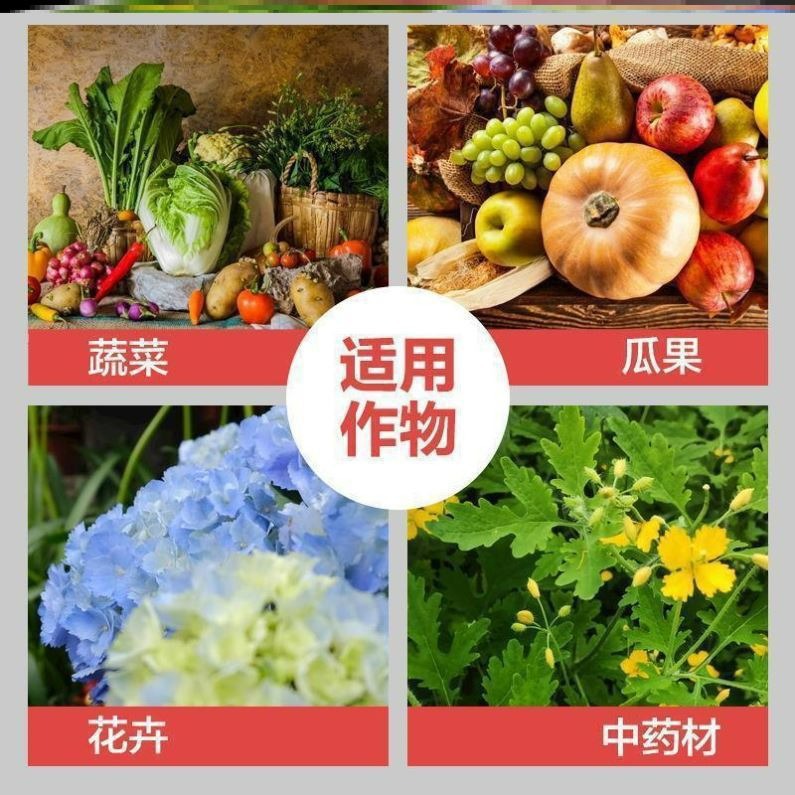 Granular Boron Trace Element Slow-Release Fertilizer for Vegetables, Fruits, Florals and Green Plants, Potted Gardening General Fertilizer, Factory Direct Supply