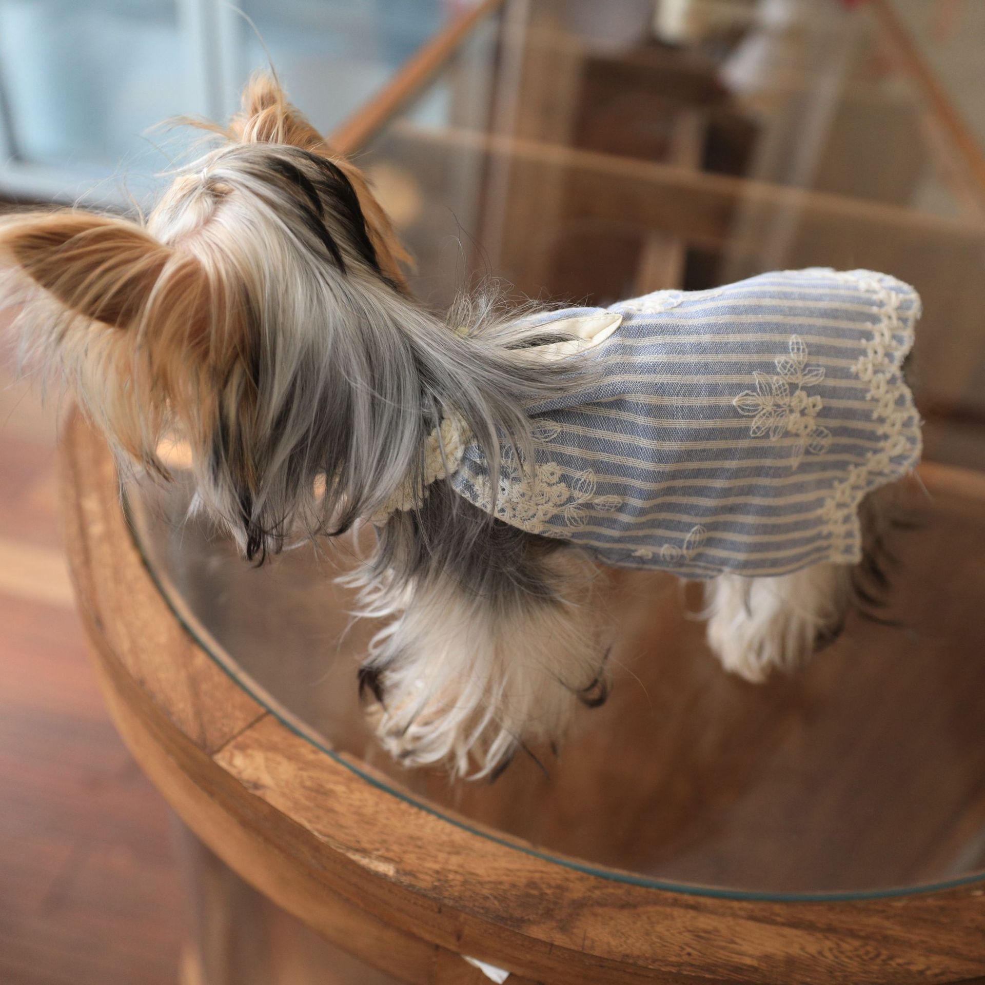 Pet Skirt Embroidered Striped Cotton dress Cool Breathable Dog Clothes Small Dog Yorkshire Bears