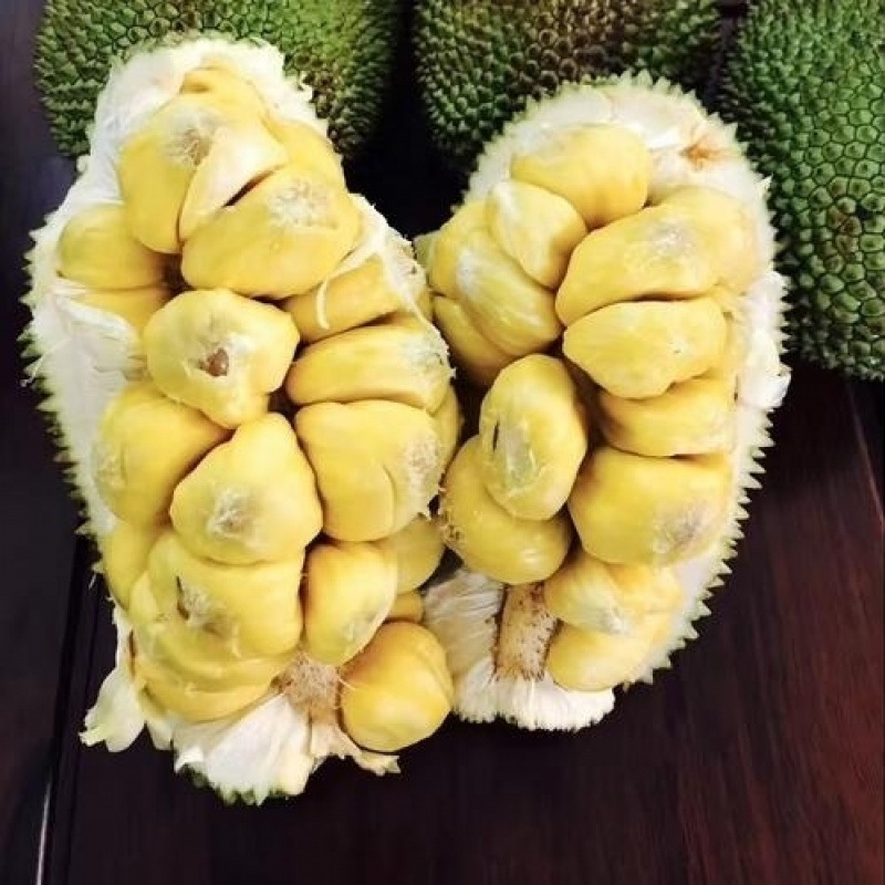 [Durian Honey Special Offer] Durian Honey Hot Seasonal Fresh Fruit Red Flesh Yellow Flesh Wet Pack Durian Honey Free Shipping