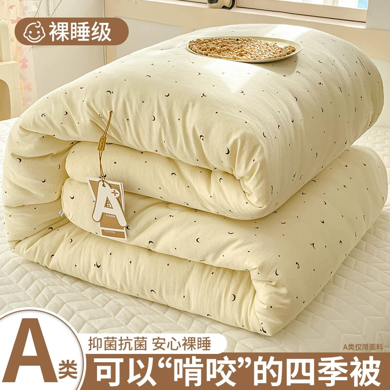 Стирка Хлопковый Квилт Зимний Квилт 2025 Новый Весенний и Осенний Квилт Утолщенный Теплый Квилт Ядро Студенческий Односпальный Универсальный для Всех Сезонов