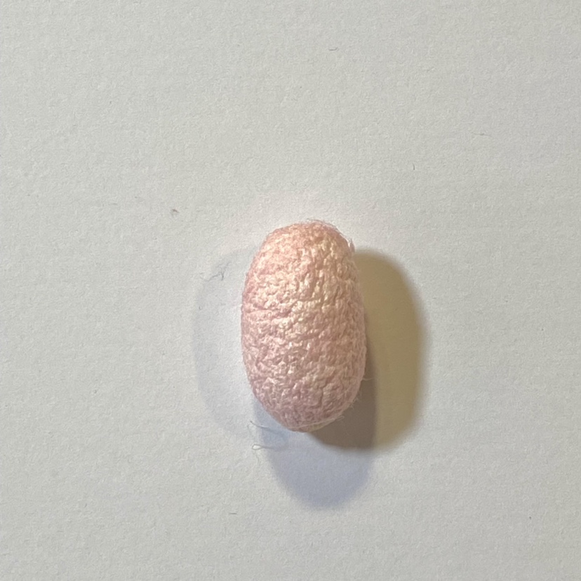 Ll Colorfuled Silkworm Cocoon Ball Dyed Natural Silk Fan Drying Complete Cocoon Will Not Fly Out Moth 100 Yuan 100 Pieces Pack