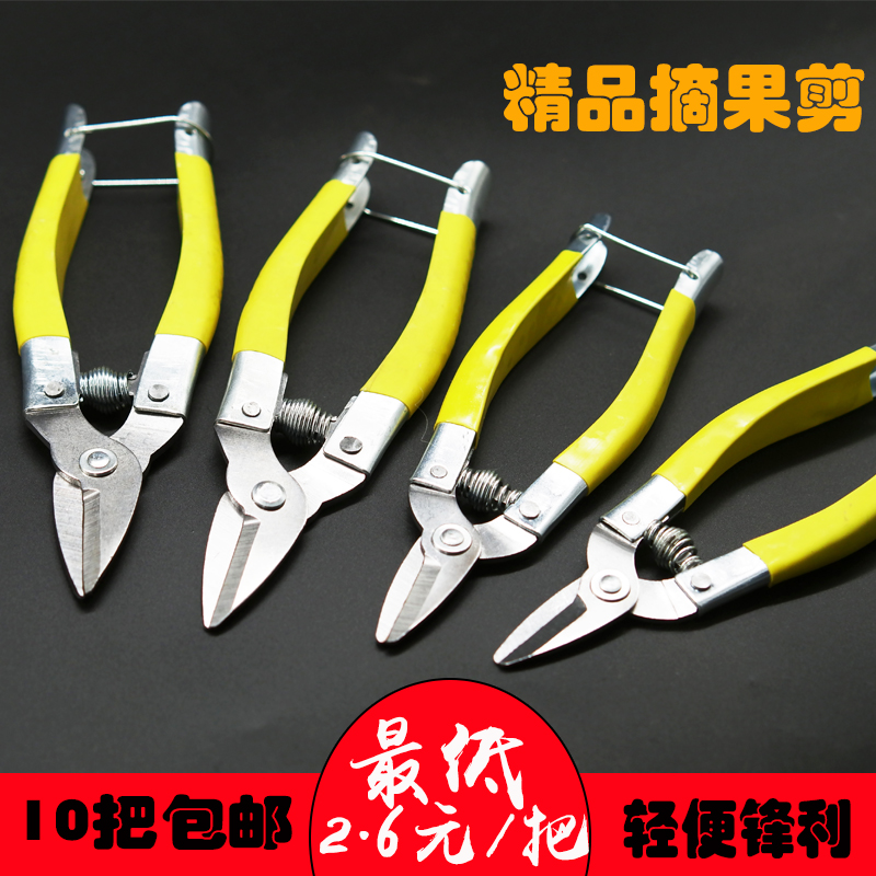 Pruning Shears, Flower Pruning Scissors, Branch Shears, Fruit Gardening Household Citrus Orange Knife, Grape Cutting Special Round Head and Small Mouth
