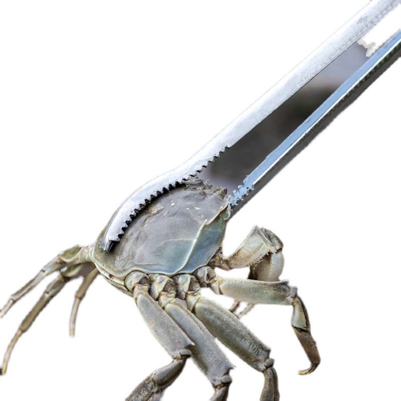 Manufacturer Wholesale Fishing Tools for Catching Eels, Loaches, Lobsters, and Crabs - Stainless Steel Spring Pliers