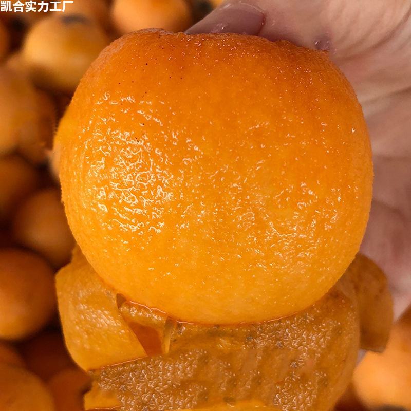 Fresh Seasonal Fruit from Miyi, Sichuan: Sweet High-Altitude Large Five-Star Loquat Mixed Batch