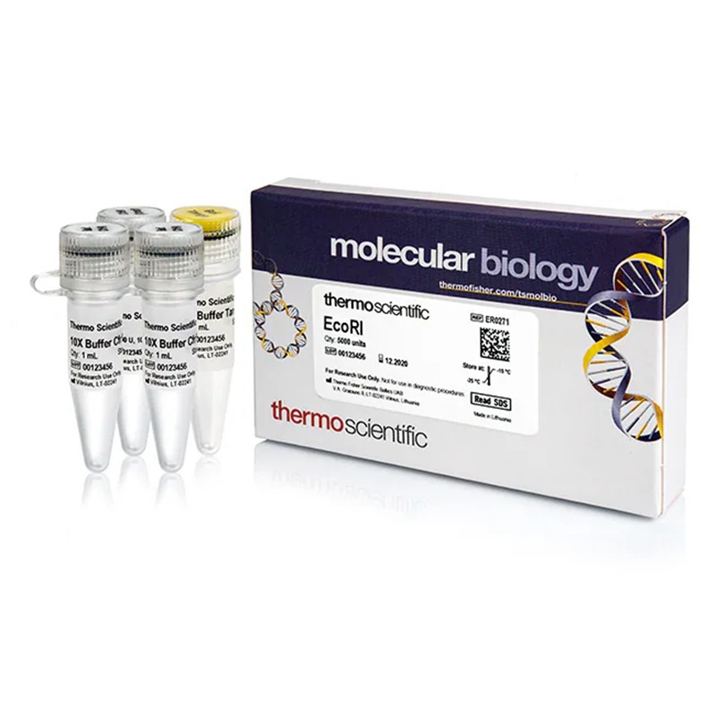 ER0271 Thermo Fly ограничительный фермент Thermo EcoRI (10 U/μL) 5000 единиц