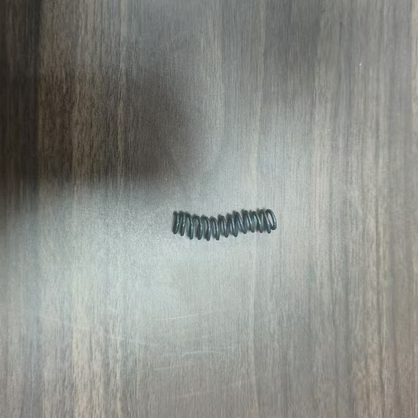 Professional Factory Direct Selling Dog Leash Spring Sus301 Stainless Steel Spring Constant Force Spring