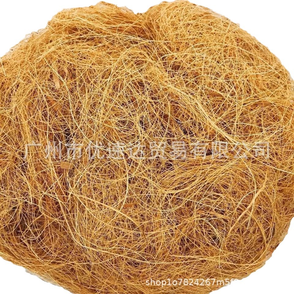 coconut palm silk filler coconut coconut tendon staple fiber brown silk plant fiber green covering hemp rope garden green plant
