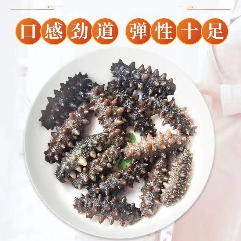 Dalian Wild Sea Cucumber, Sea Cucumber, Seafood, Light-Dried Sea Cucumber, Dried Goods, Small Sea Cucumber, Quick-Release for Pregnant Women, the Elderly and Children