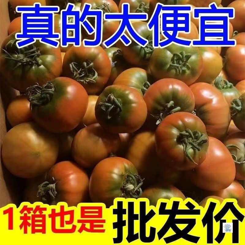 Authentic Tinned Strawberries, Persimmons, Fresh Seasonal Tomatoes, Raw Fruits, Northeastern Tomatoes, Sweet and Sour, Sf Free Shipping