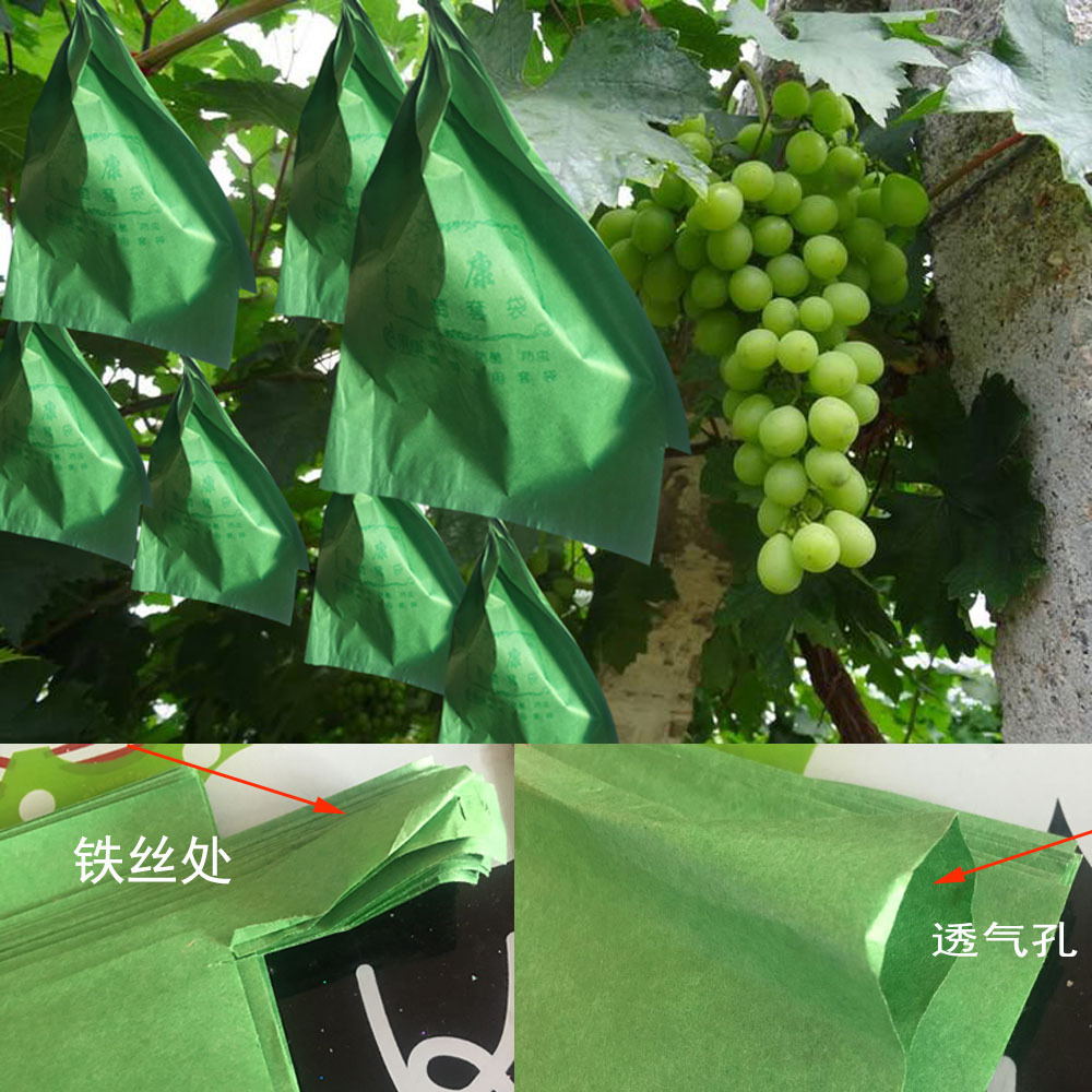 Special Bagging for Grapes, Rainproof, Waterproof, Insect-Proof, Bird-Proof, Sunshine Rose Three-Color Grape Paper Bag Lotus Mist Mango Free Shipping