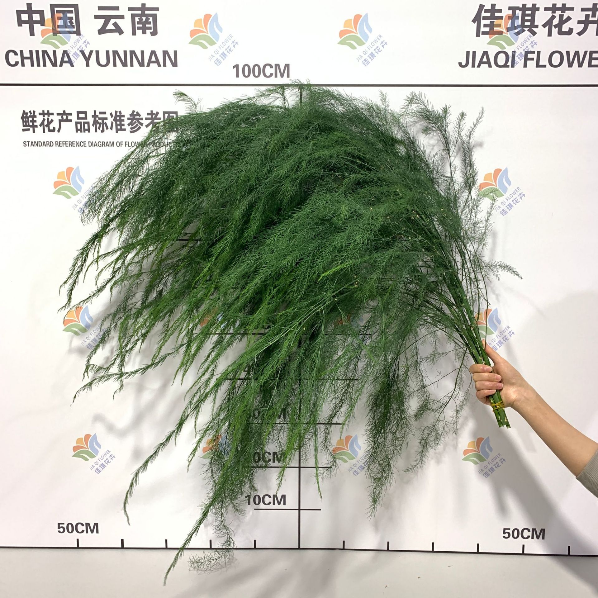 Свежие листья спаржи, цветы для свадебного оформления в лесном стиле, DIY реквизит для фотосессий