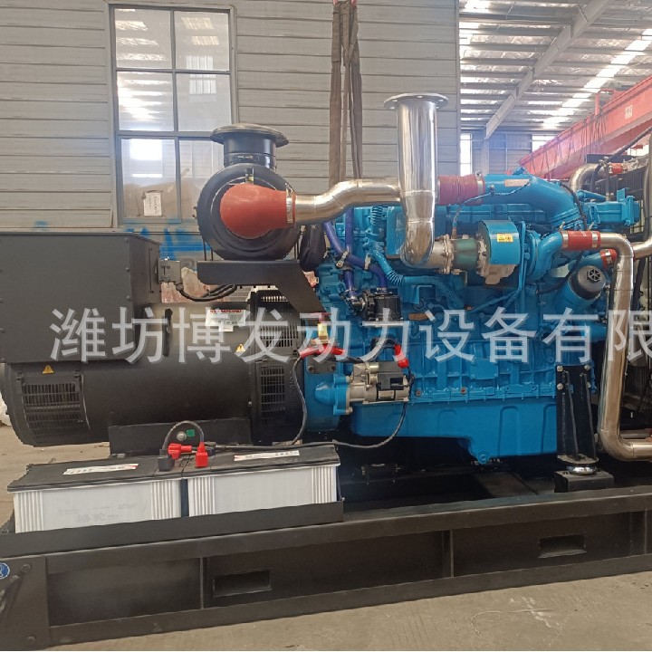 Gas Generator Set Biogas Natural Gas Straw Gas 100 200 250 300Kw Methanol Generator Set