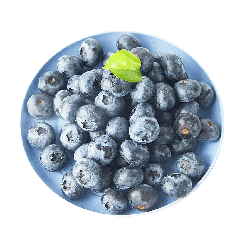 Fresh Blueberries in Stock, Freshly Picked, Ready-To-Eat Baby Food Supplement Boxes, Factory Wholesale