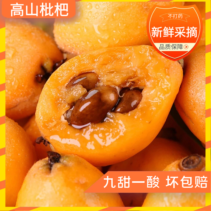 Sf Express Sichuan Alpine Five-Star Loquat Seasonal Fresh Fruit Freshly Picked Seasonal Sweet Loquat Seasonal Fresh Fruit Whole