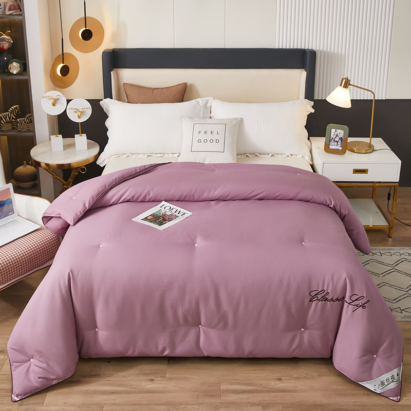 Cross-border quilt core silk quilt thickened winter quilt high-end handmade mulberry silk summer quilt student dormitory spring and autumn quilt