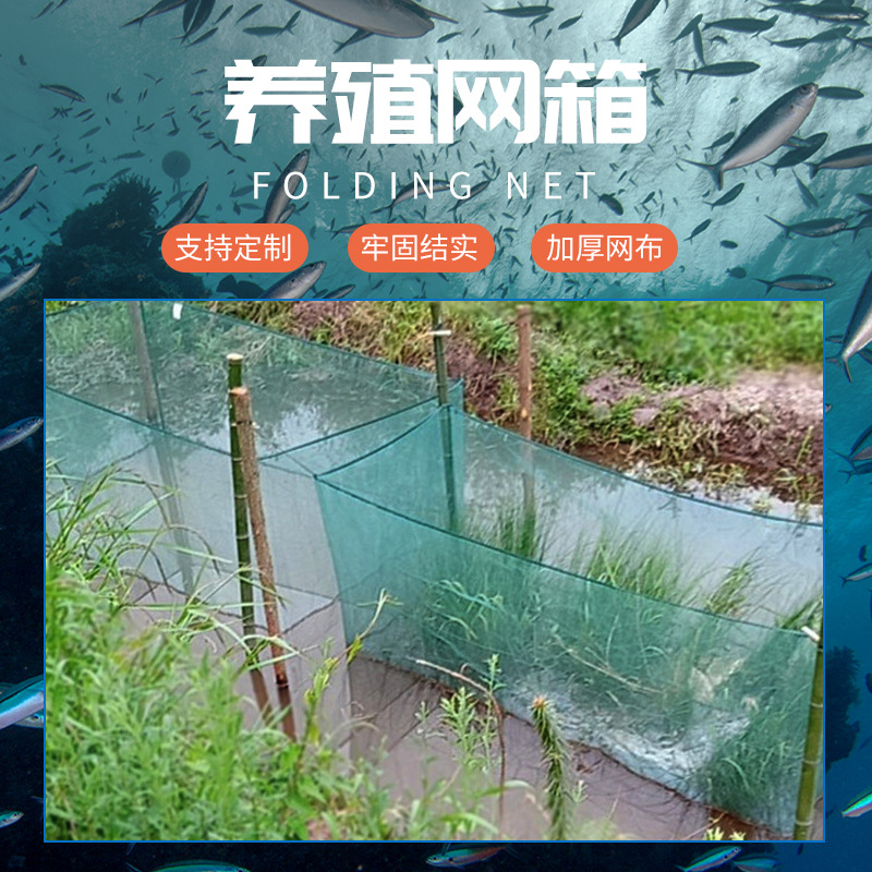 Рыболовная сеть 10-сетчатая, ящик для разведения, ящик для мальков угря, ящик для аквакультуры, поставка производителя