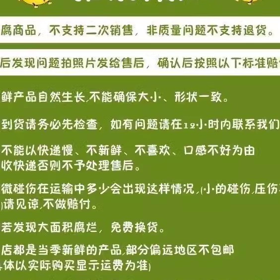 [Shun Feng Bao You] Authentic Northeast Jasmine Grape Seedless Tulip Grape Now Picked and Pregnant