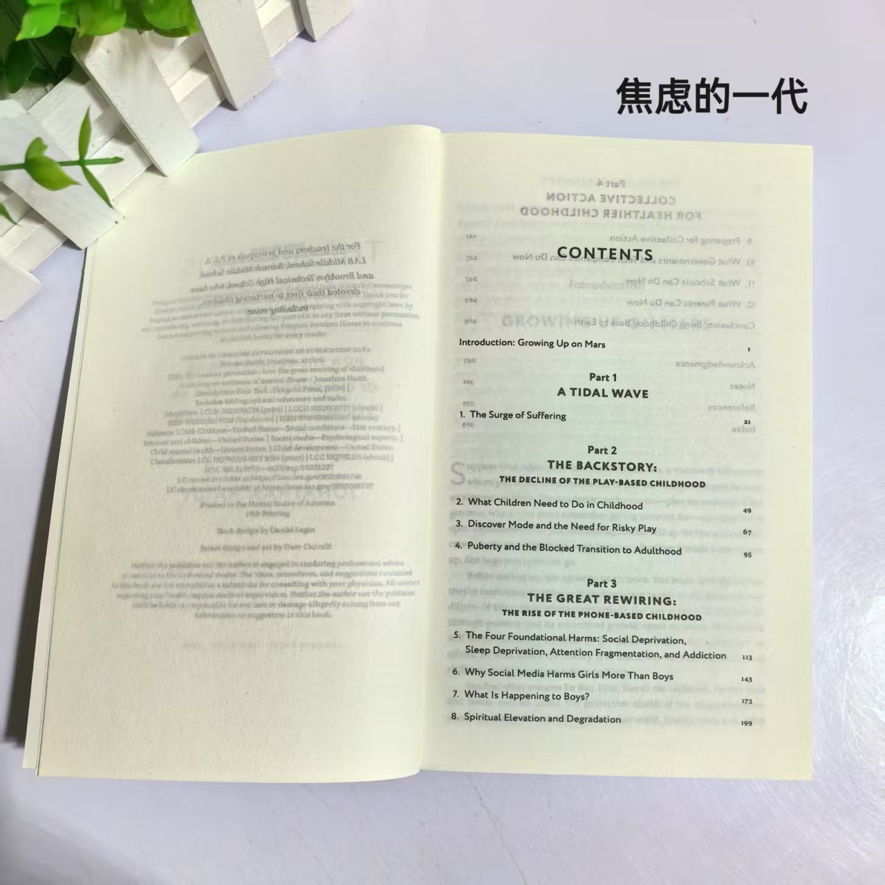 The Anxious Generation English Version The Anxious Generation