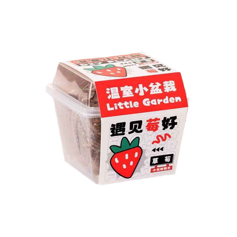 Creative Plant Blind Box Potted Plant School Season Gift Office Planting Flower Seeds Primary School Students Desktop Green Plant Potted Plant