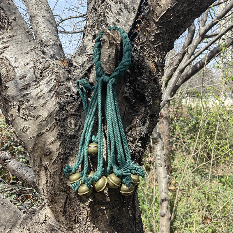 Висячий колокол/окна висячий Ornament/колокол защиты благословения ведьмы Shein/удача