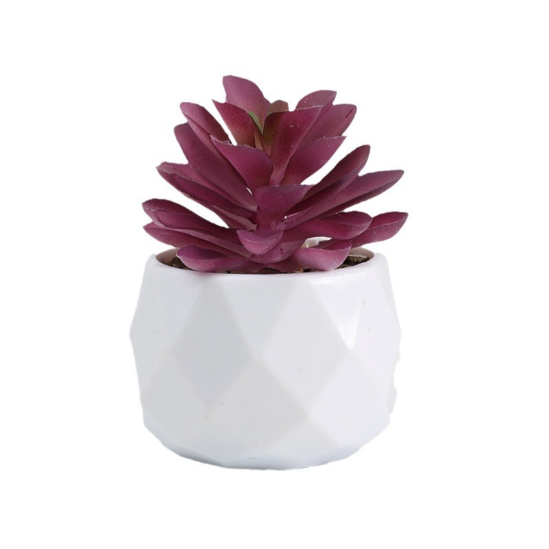 Ready-Made Artificial Succulent Potted Plants, Diamond Imitation Ceramic Plastic Pots, Cross-Border Hot-Selling Home Landscaping Decoration Ornaments Wholesale