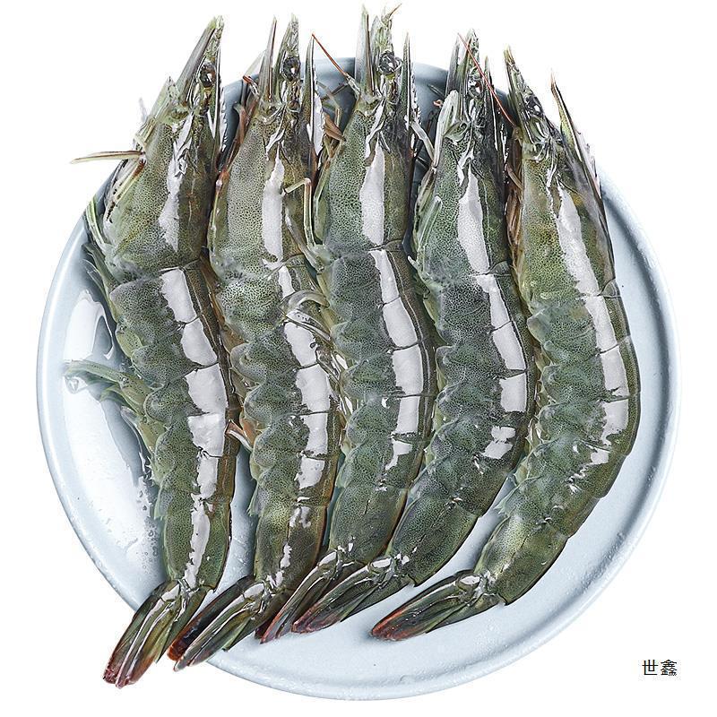 Qingdao Prawns Fresh Shrimps Free Shipping 0 Salt Frozen Sea Shrimps Large Green Shrimps Base Shrimp Seafood Aquatic Products Quick-Frozen Frozen