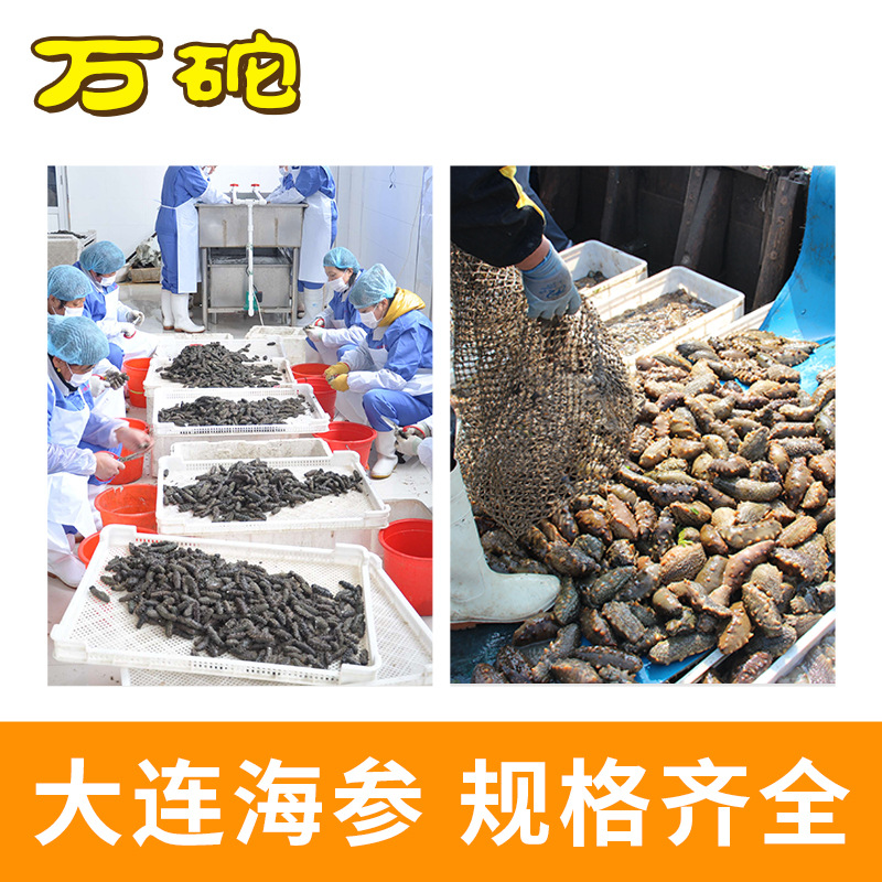 Sea Cucumber Manufacturer Wholesale Dalian Sea Cucumber Ready-To-Eat Chewy Texture Fresh Frozen Lock-In Freshness