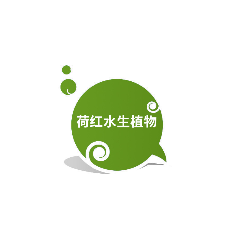 Understanding Dwarf Bitter Grass Seedlings, River Treatment, Submersible Plants, Water Quality Purification, Micro-Toothed Eye Dishes, Yilegae Engineering