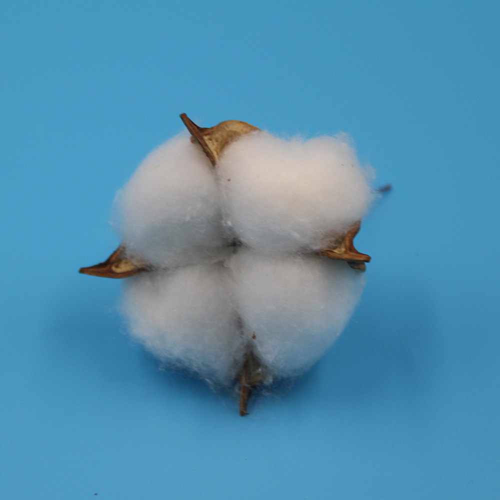 Сухие цветы из хлопка симуляция хлопка натуральный капок украшения рождественского венка белоголовый бессмертный цветок