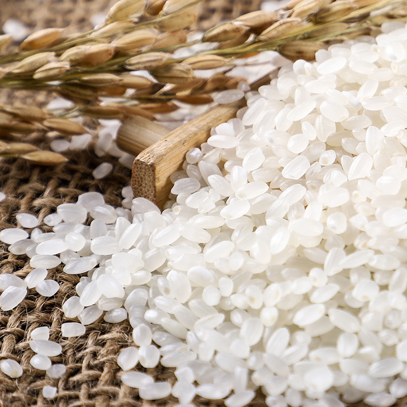 Northeast rice 10kg Heilongjiang autumn harvest new rice round pearl rice Akita Xiaoding fragrant rice factory direct batch can be distributed