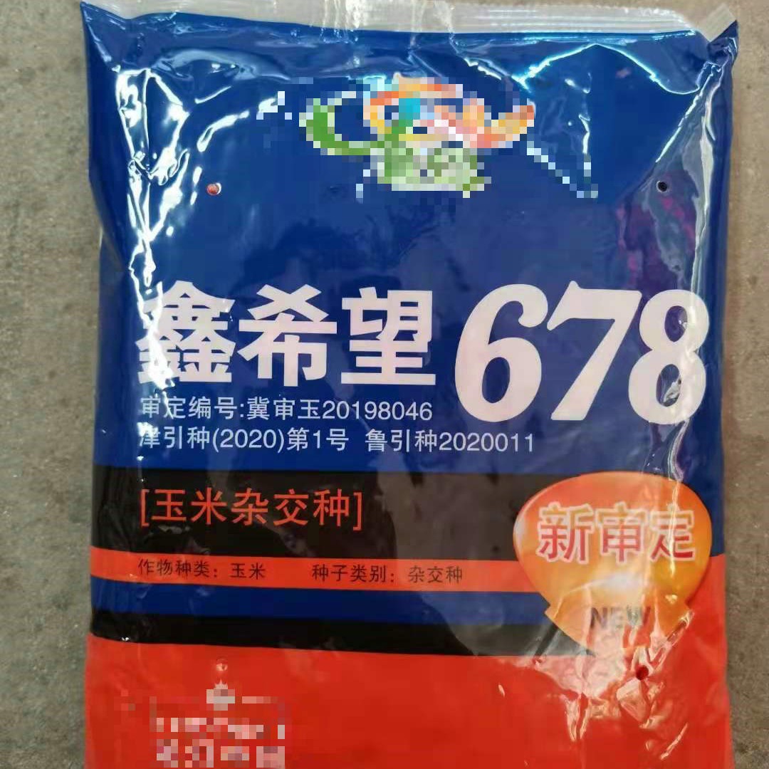 Wholesale Corn Seed Xin Hope 678 Manufacturer Direct Supply Corn Seed Corn Seed Wholesale Corn