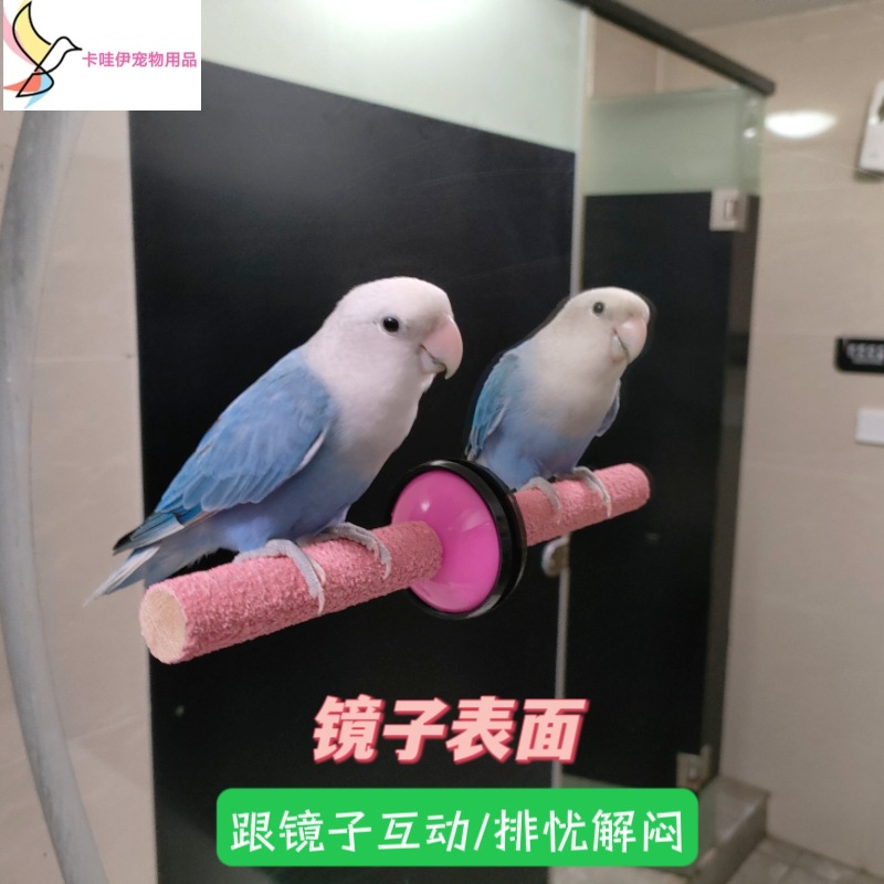 Scrub Sucker Station Rod Parrot Grinding Claw Rod Grinding Beak Grinding Teeth Bird Station Rod Stick Peony Xuan Feng Toy Supplies