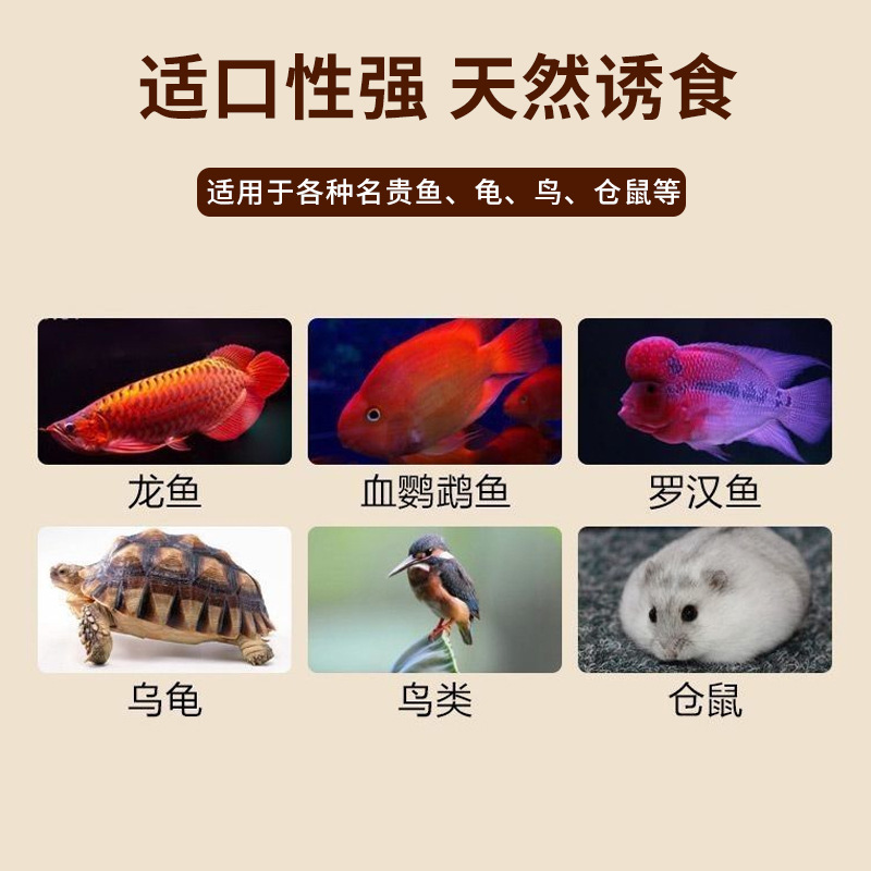 Tropical fish food preservation bread worm turtle rohan fish ornamental fish general thunder dragon nutrition barley worm factory wholesale