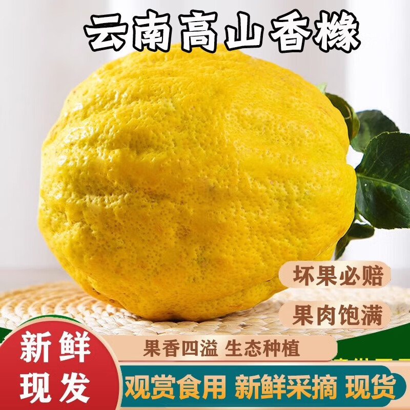 Fresh Citrus Medica Fruit from Yunnan, Large Citrus Medica Fruit, Fresh Citrus Medica Fruit, Bergamot Fruit, Farm-Grown Fresh Citrus Medica Fruit 2.5kg