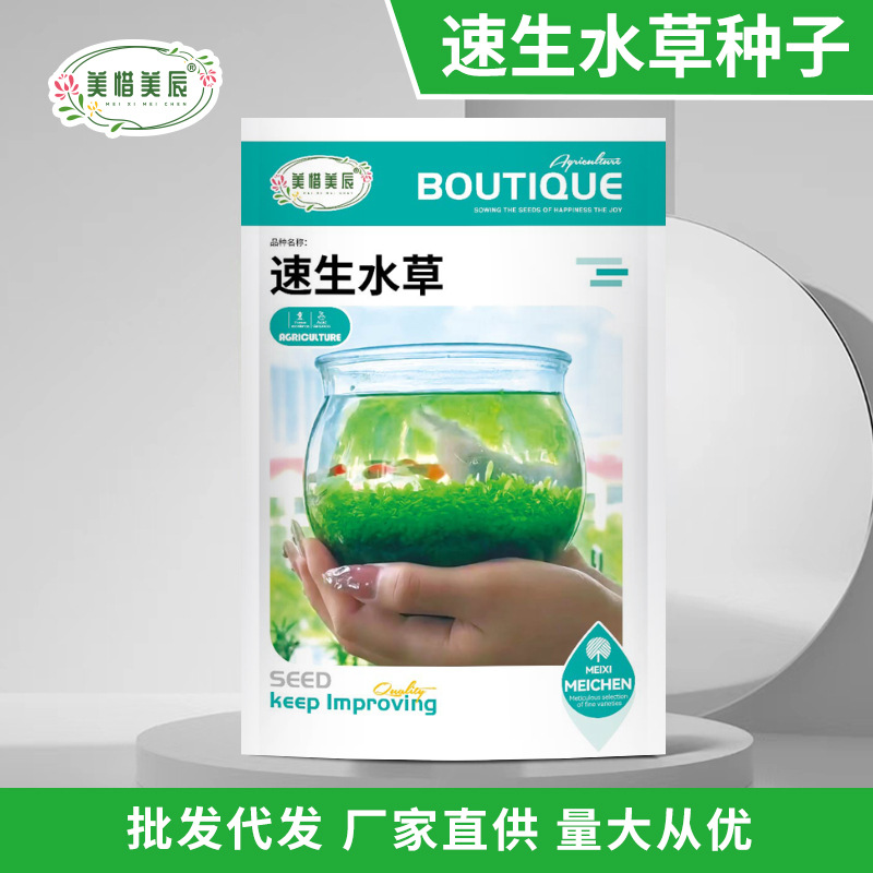 Fast-Growing Aquatic Grass Seeds Fish Tank Aquarium Foreground Grass Seeds Fish Tank Landscaping Lawn Mini Opposite Leaf Fast-Growing