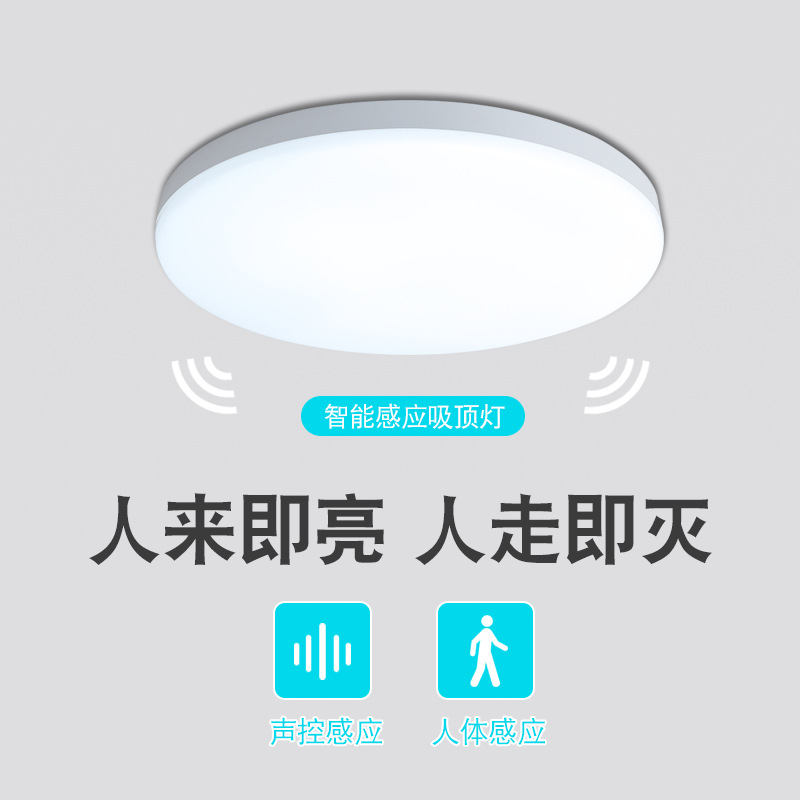 Factory wholesale LED three-proof ceiling light sound and light control radar human body induction light corridor aisle stair lighting