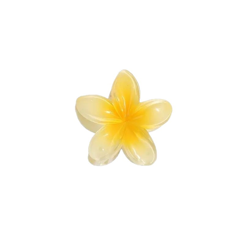 Europe and the United States cross-border egg flower clip holiday hot side hair clip back head plate shark clip hair accessories wholesale