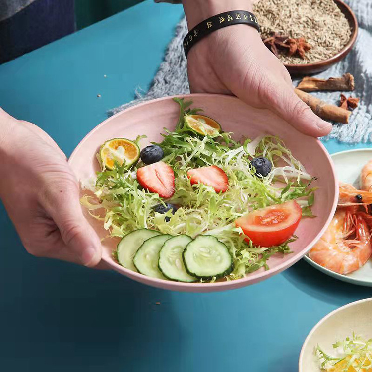 Wheat straw plate household creative cute dish plastic fruit plate Nordic style bone dish drop-resistant small dish