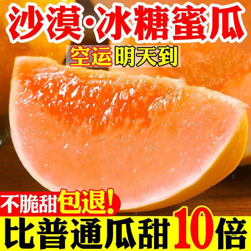 Sweet and Juicy Gansu Minqin Honeydew Desert Yellow River Honey Fruit Fresh Cantaloupe Seasonal Fragrant Melon