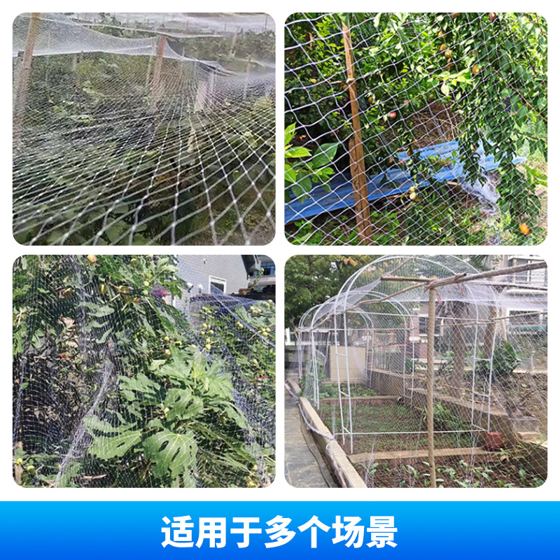 Anti-hail net factory anti-insect and mosquito net grape orchard anti-bird net polyethylene fruit and vegetable farm flower anti-hail net