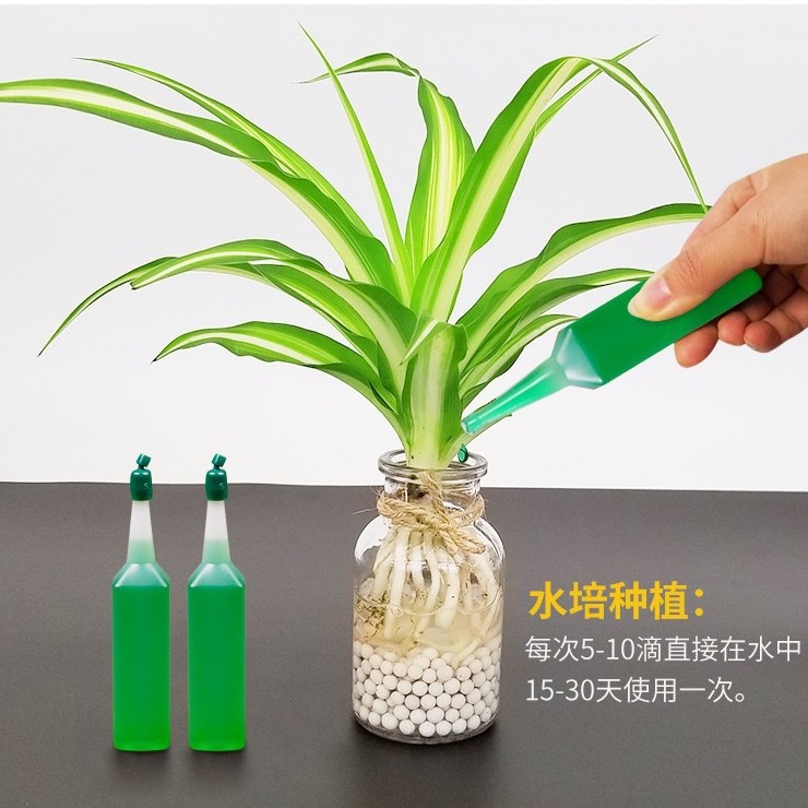 Plant nutrient solution General-purpose household potted rich tree rich bamboo green dill hydroponic flower green plant flower fertilizer