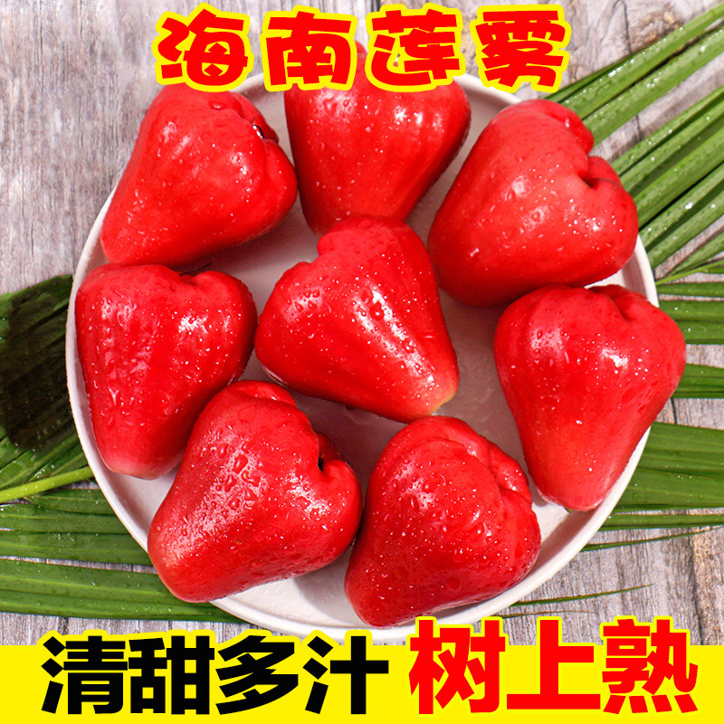 Хайнань Лотосовый туман 2кг Сезонные свежие фрукты туман Лотосовые фрукты рубин целая коробка свежесобранные увлажняющие фрукты 0.5-1.5кг