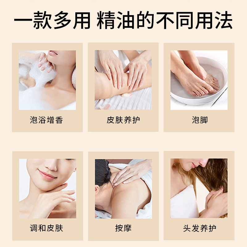 Rongzhengtang Mugwort Essential Oil 10ml Compound Essential Oil Massage Moisturizing Massage Shoulder and Neck Conditioning Rose Ginger Essential Oil