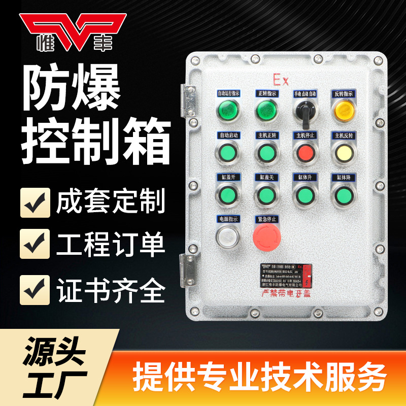 Explosion-Proof Distribution Box Maintenance Junction Box Power Instrument Positive Pressure Cabinet Button Control Switch Terminal Box Socket Box Factory
