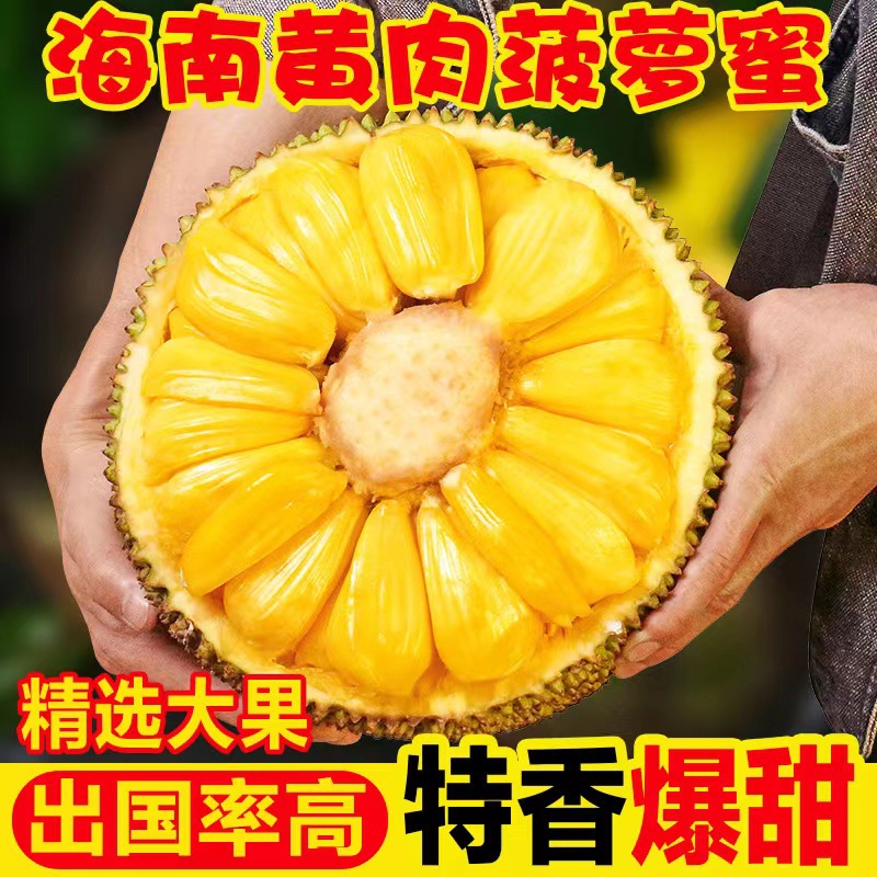Freshly Picked Hainan Sanya Yellow-Fleshed Jackfruit, Fresh and Seasonal, Whole Sweet Old Tree Jackfruit, Free Shipping Wholesale