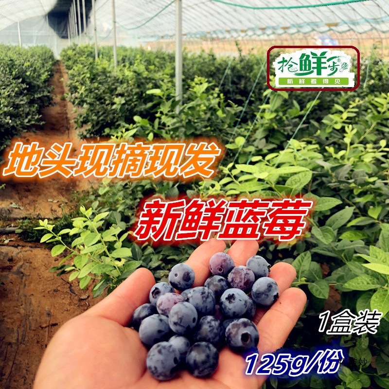 Fresh Blueberries, First Crop of Seasonal Fresh Fruits, 1 Serving, 1 Small Box, 5 Pieces in Jiangsu, Zhejiang, Shanghai and Anhui, Free Shipping