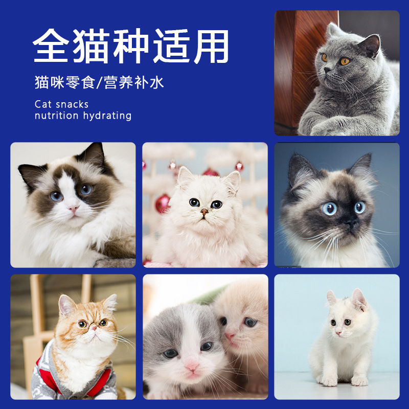 Ishtar Snacks Pet Cat Snacks Cat Strips Whole Box Kitten Fattening Hair Gills Wet Food Package Dropshipping Wholesale
