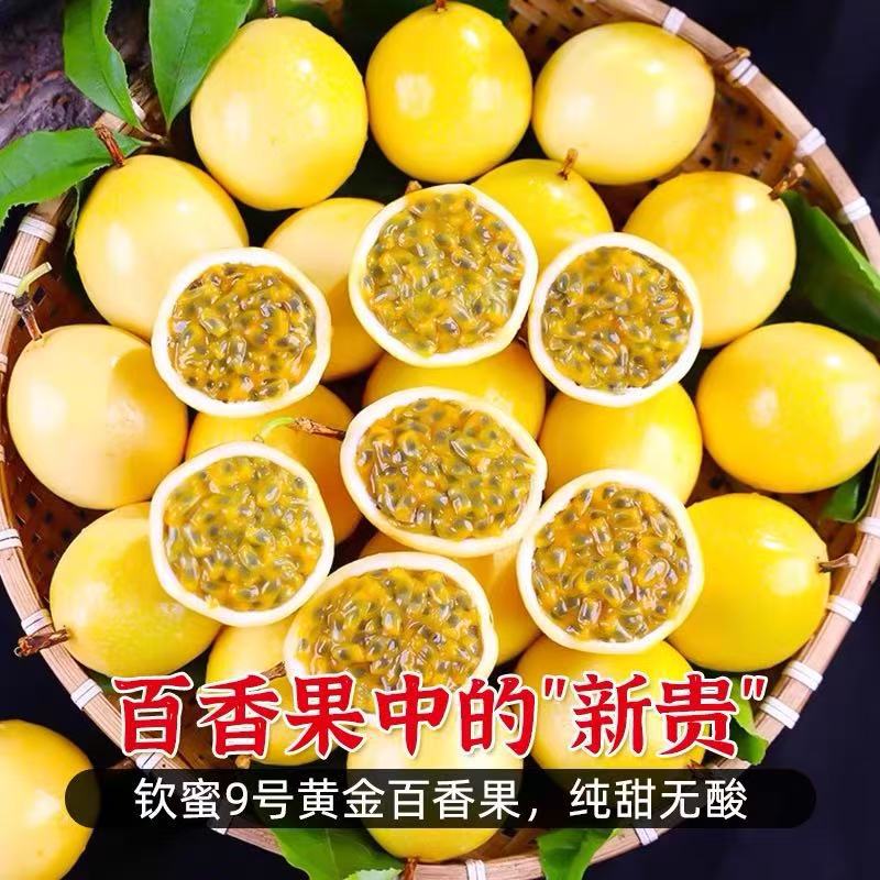 2025 Spot Gold Passion Fruit Honey No. 9 Fresh Fruit Substitute Tropical Fruit Passion Fruit Source Factory