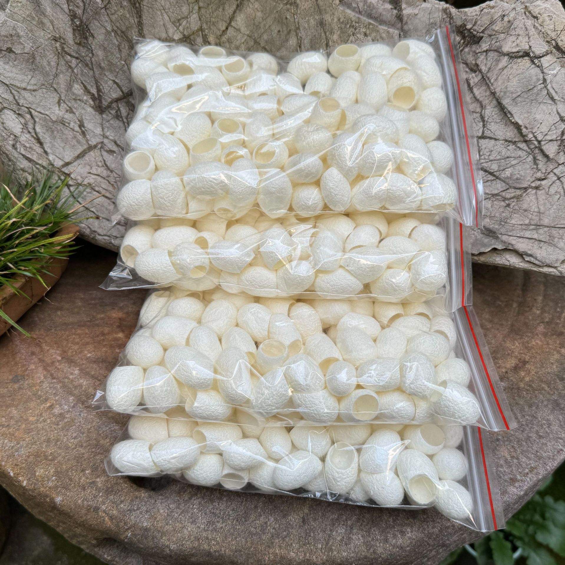 Farm-Raised Silkworm Cocoons Without Pupae, Silk Balls Extracted from Peeled Cocoons, Soaked in Water for Medicinal Use, Double-Pupae Cocoons