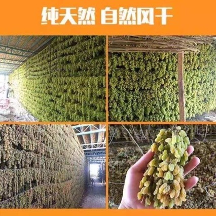 [Factory Daifa] Xinjiang Green Raisins Big Instant Blackcurrant Bulk Raisins Turpan Small Package